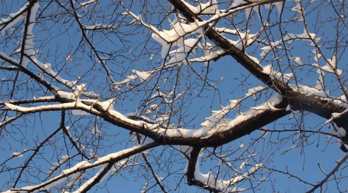 舞鶴の冬、雪の日の暮らし