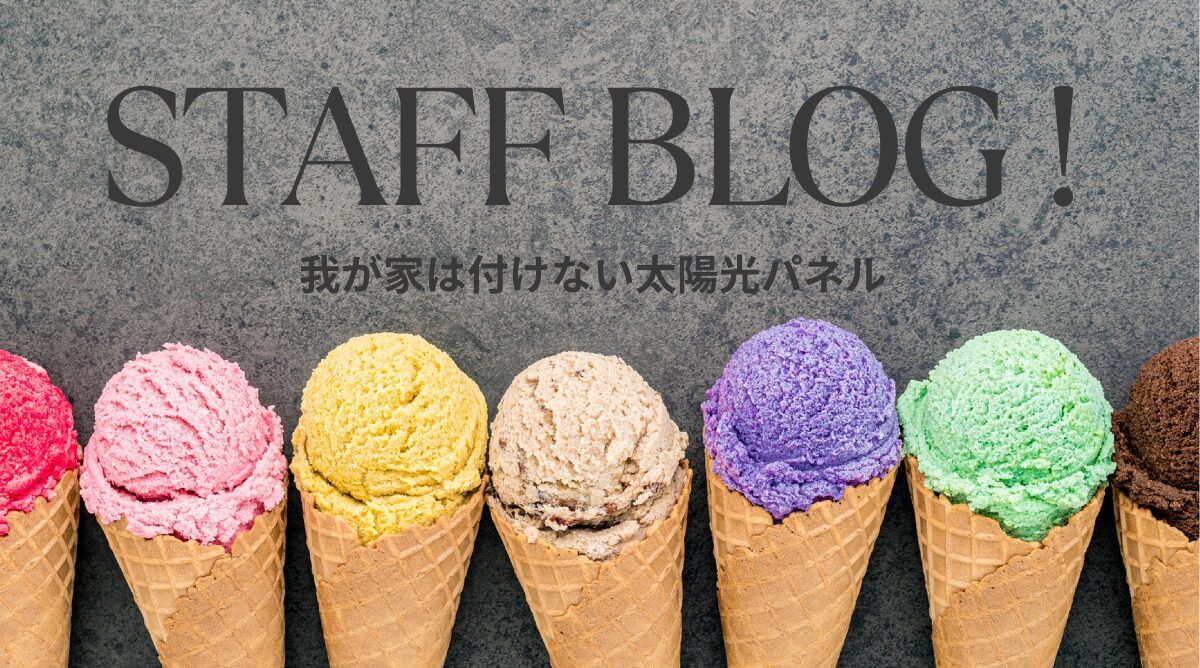 スタッフブログ 更新しました！